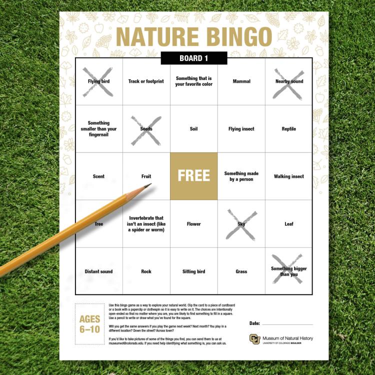 bingo board