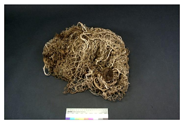 Fishing net in ball