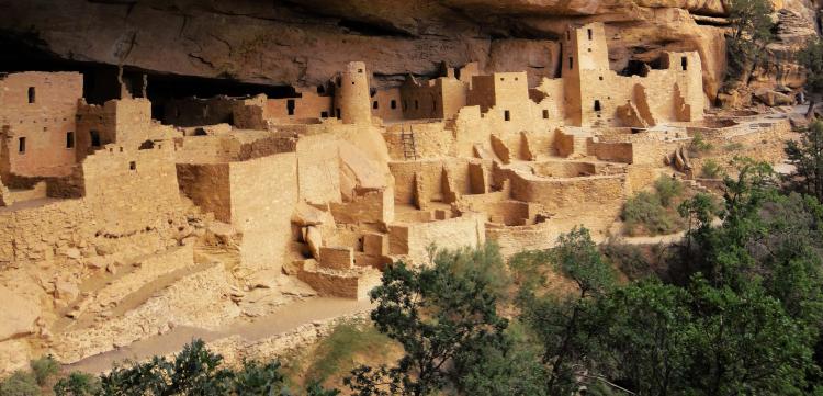 Cliff dwellings with trees