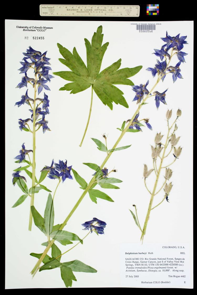 Botany poster