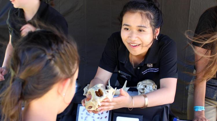 student showing animal skull to child