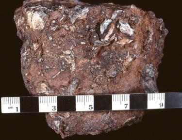 Brown rock-like object 8x8 centimeters with bits of bone and other material embedded.
