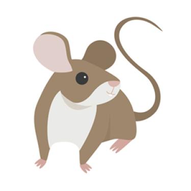 illustrated mouse