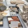 collection drawer with fossils displayed on shelf