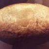 single oval shaped egg
