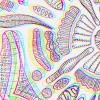 line drawing of algal shapes in blue, red, and yellow
