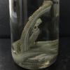 clam worm thumbnail