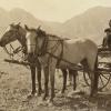 Jennie Pruden and other local women in the Pruden wagon. 