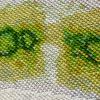 Embroidery with green algae shapes