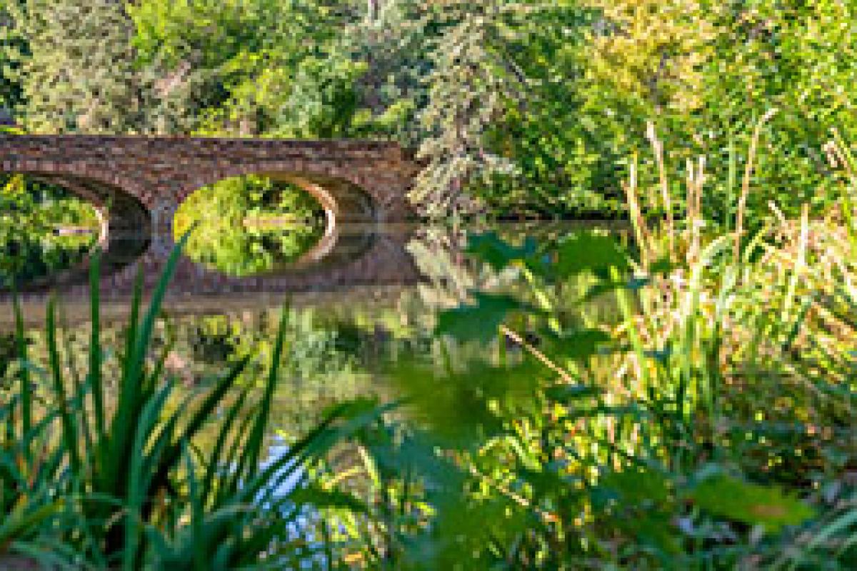 varsity pond and bridge during the summer