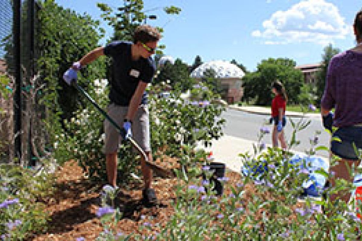 students digging and planting flowers