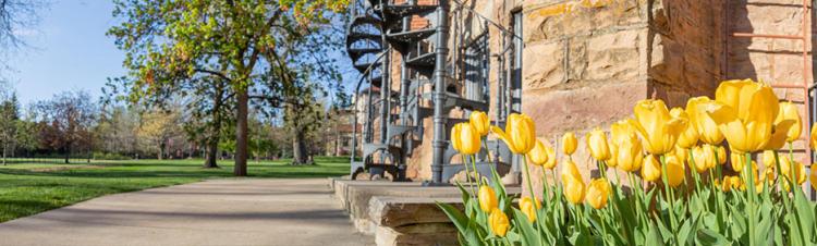 stairs at old main