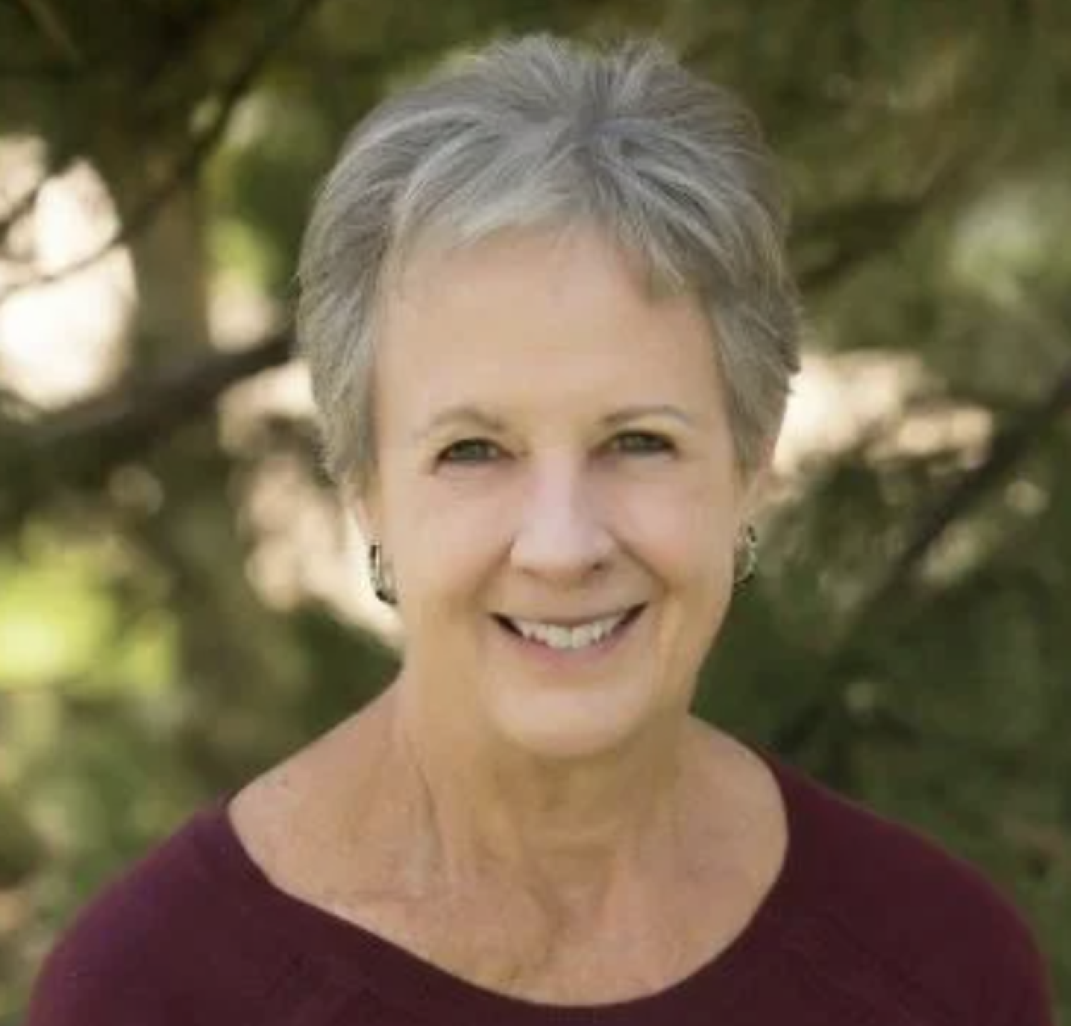 Anne Castle