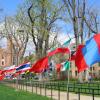 flags