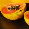 Papaya