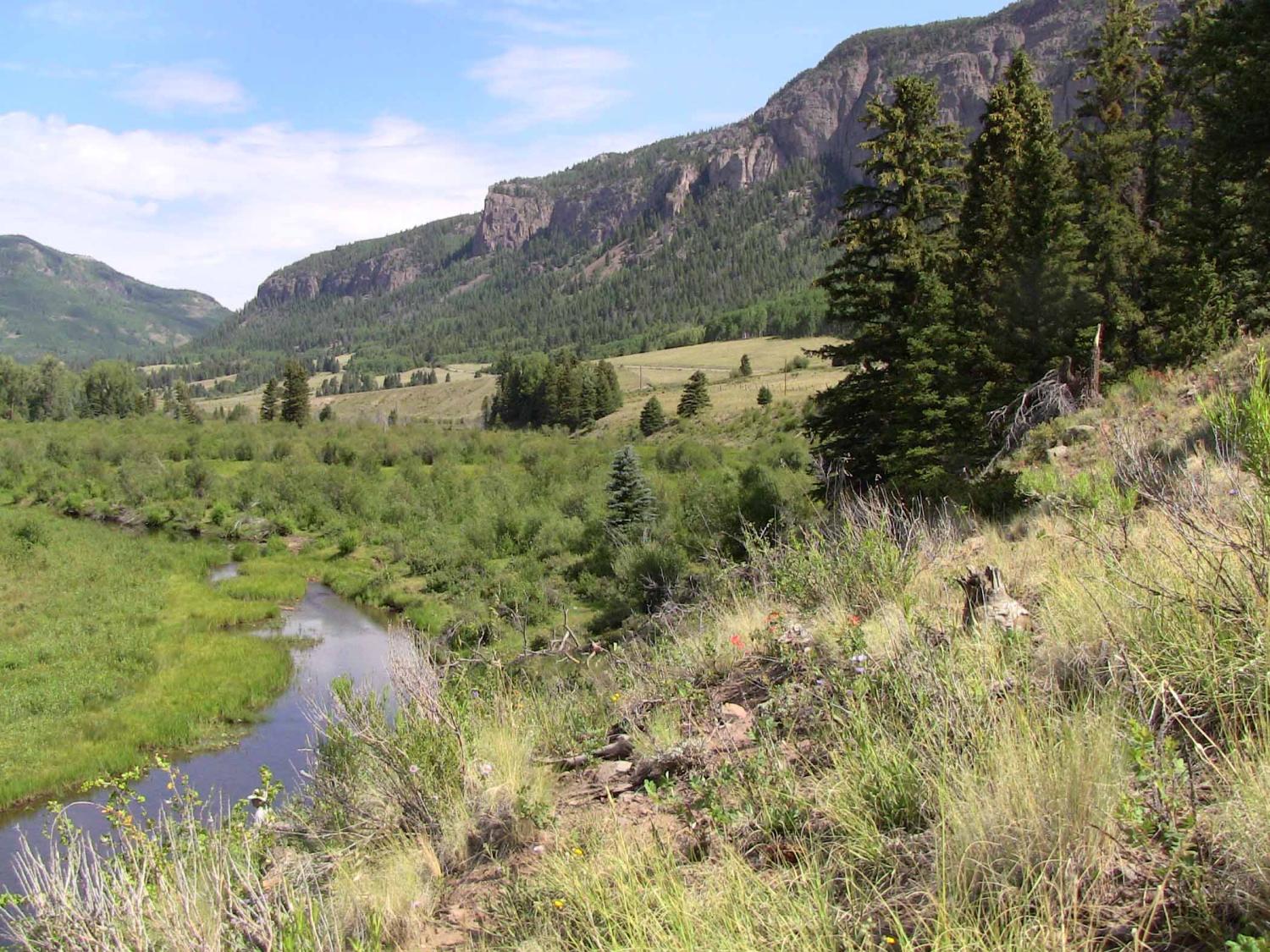 Summer in the Rockies