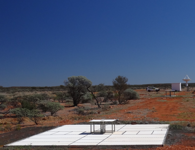 The two EDGES instruments in Western Australia