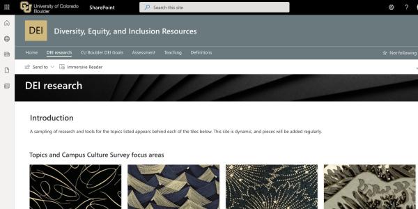 DEI Resource hub screen shot