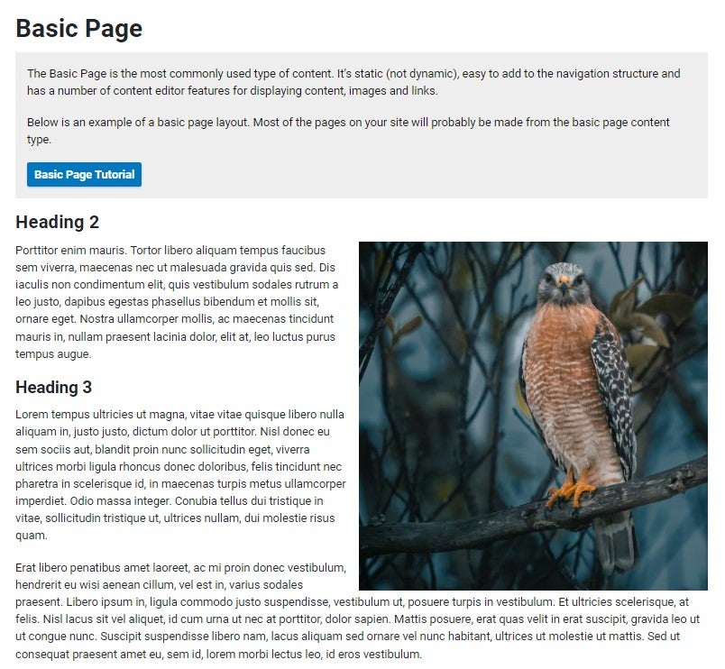 Basic Page | Web Express Documentation | University of Colorado Boulder
