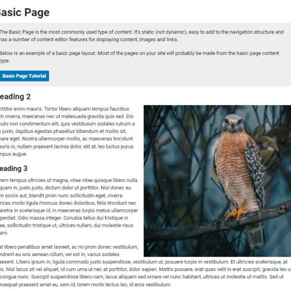Basic Page thumbnail