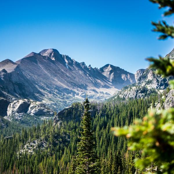 mountains