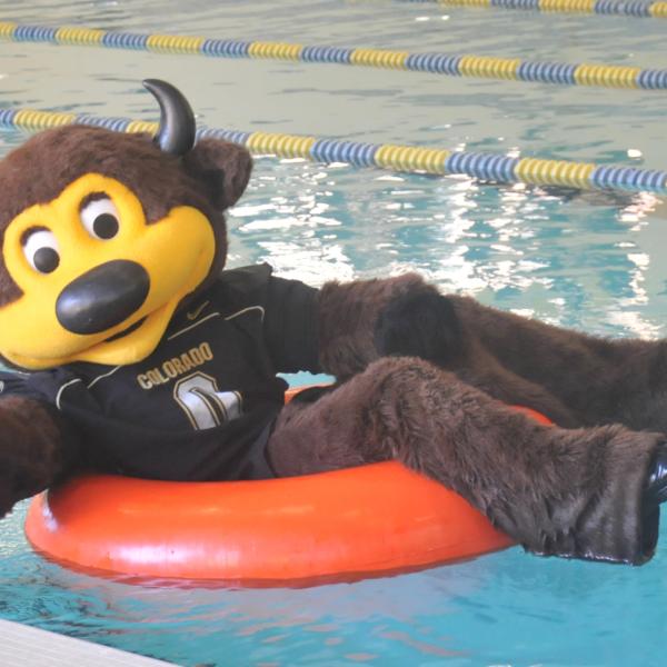 Chip in a floatie