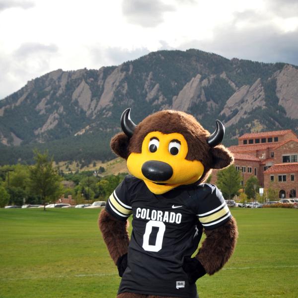 Flatirons Chip