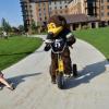 Chip on a tricycle