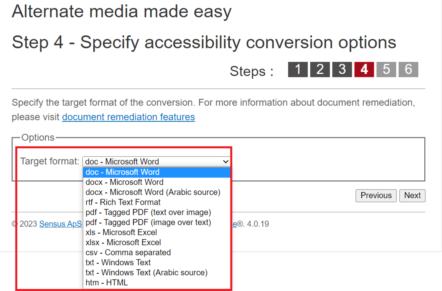 Step 4, specify output format options, highlighting the document types available for an accessibility conversion.