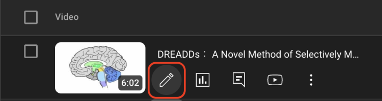 The Details button, which appears as a pencil icon, is outlined in red.