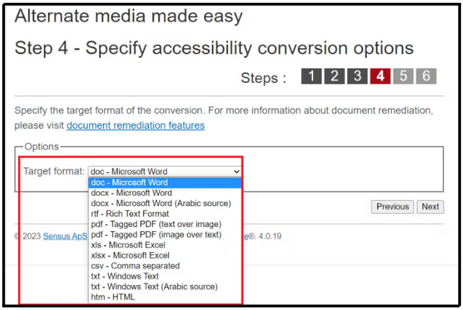 Step four: Step 4, specify output format options, highlighting the document types available for an accessibility conversion.