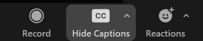 Hide captions button is highlighted in the Zoom control bar.