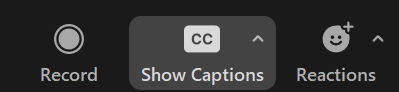 Show captions button is highlighted in the Zoom control bar.