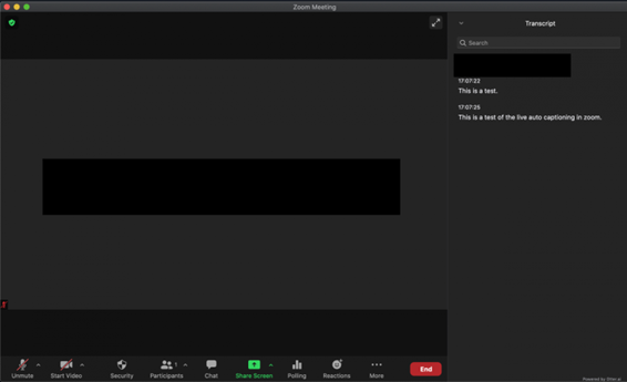 Image of a Zoom session with a transcript on the right side of the screen in a side panel. The transcript panel has a search field available.