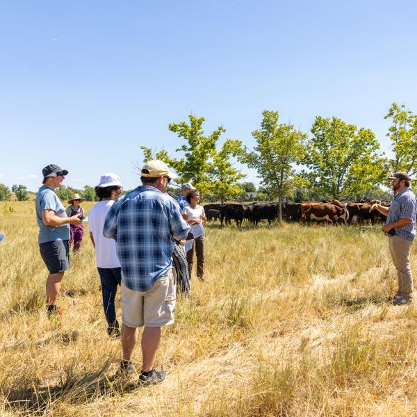 people in grass field