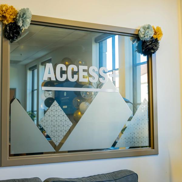 Access+ 4