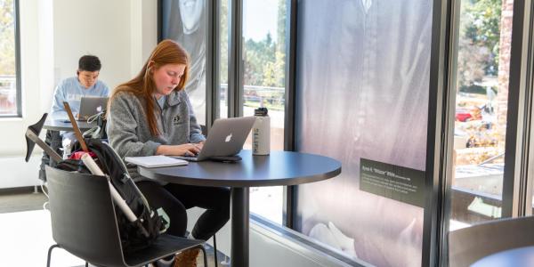 girl working on laptop in a room