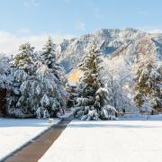 snowy campus