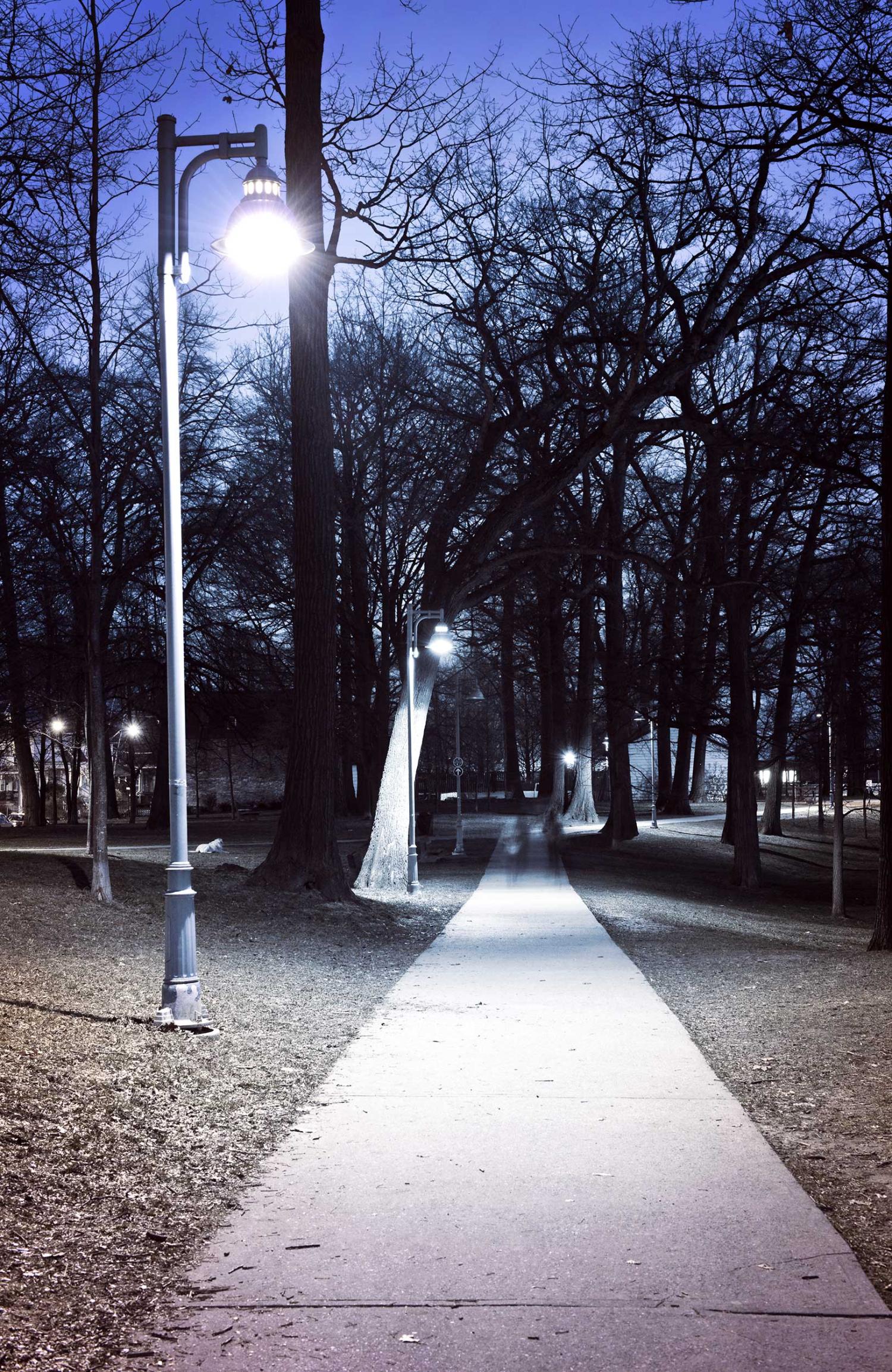 A path at night