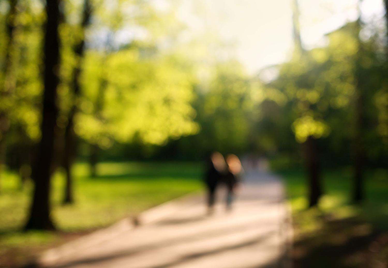 Two people walking on a path in a park