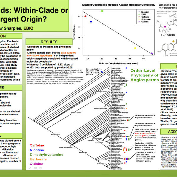 Plant Alkaloids: Within-Clade or Convergent Origin?, by Mathew Sharples
