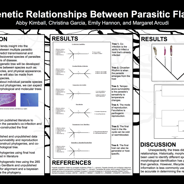Phylogenetic Relationships Between Parasitic Flatworms, by Abby Kimball, Christina Garcia, Emily Hannon, and Margaret Arcudi