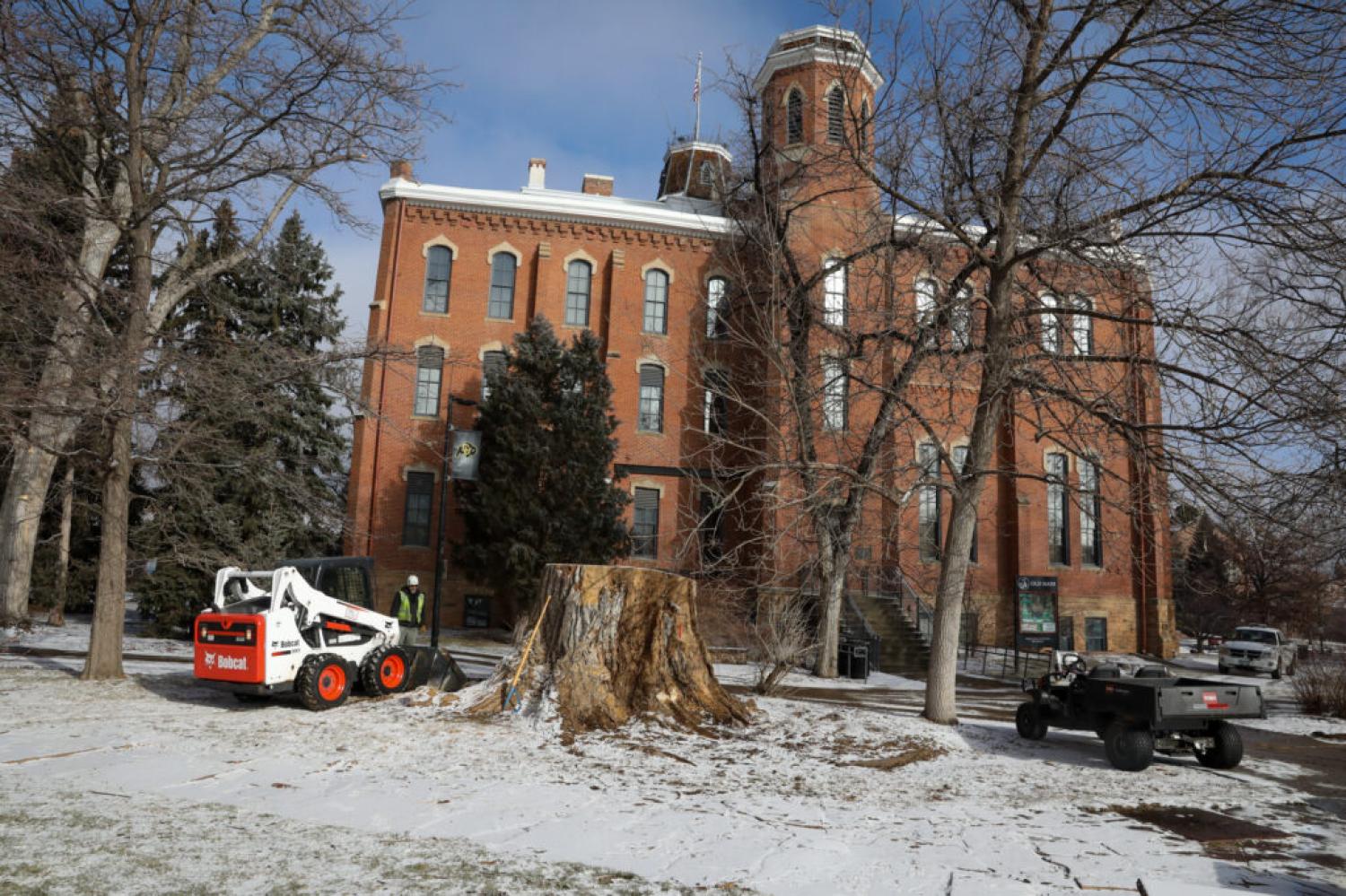 The stump of the “Old Main Cottonwood” on Thursday, Jan. 20, 2022. The tree has been taken down after 140 years, but not before cuttings were taken so that clones of the tree can be propagated. The disc will be saved for artists as raw material.