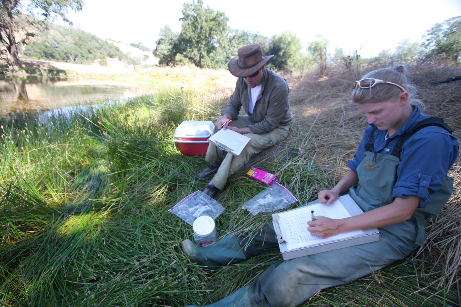 Katie and Piet working in the field