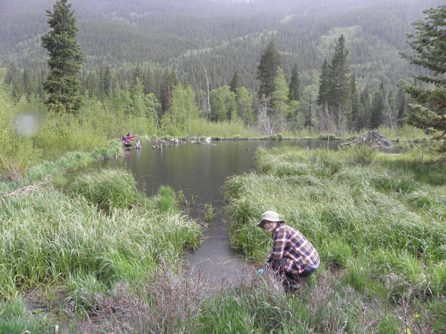 Abigail, sampling in a stream - photo credit: Cerrise Weiblen