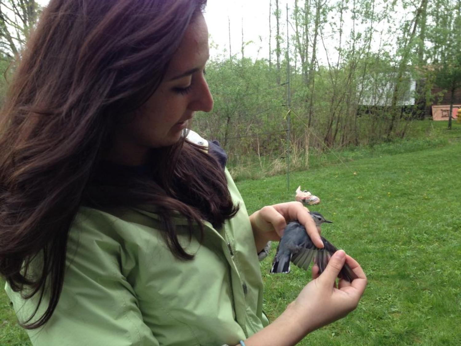 Kathryn Grabenstein holds a bird and examines its wing.