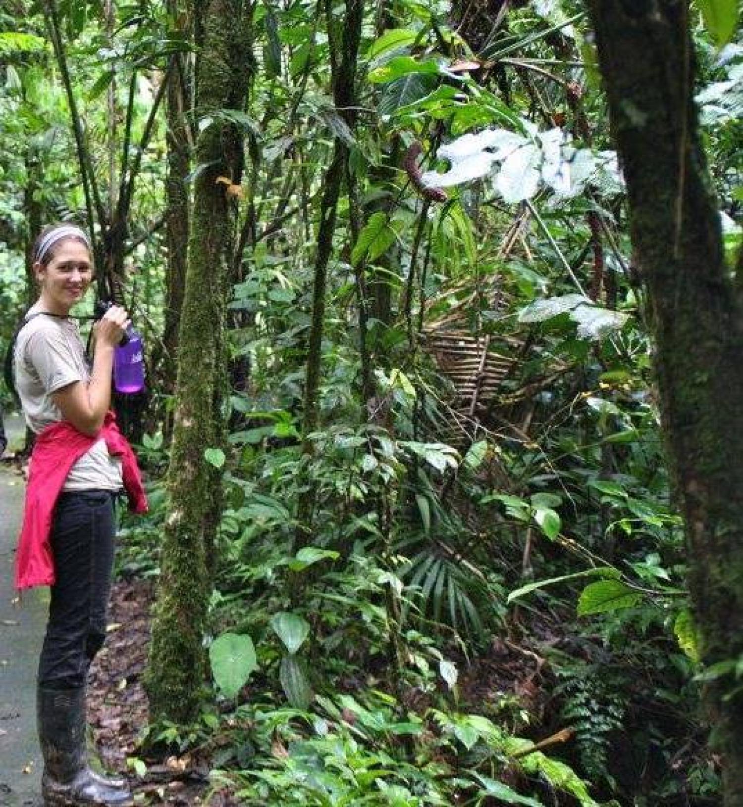 Arcuri in a rainforest.