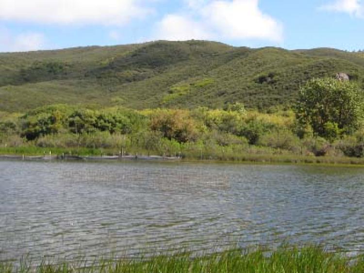 sample field site wetland