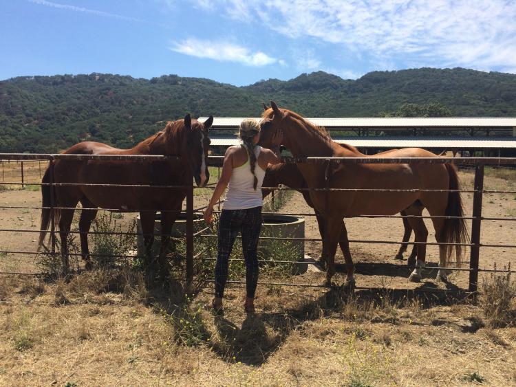 Meg at UROP location with two horses