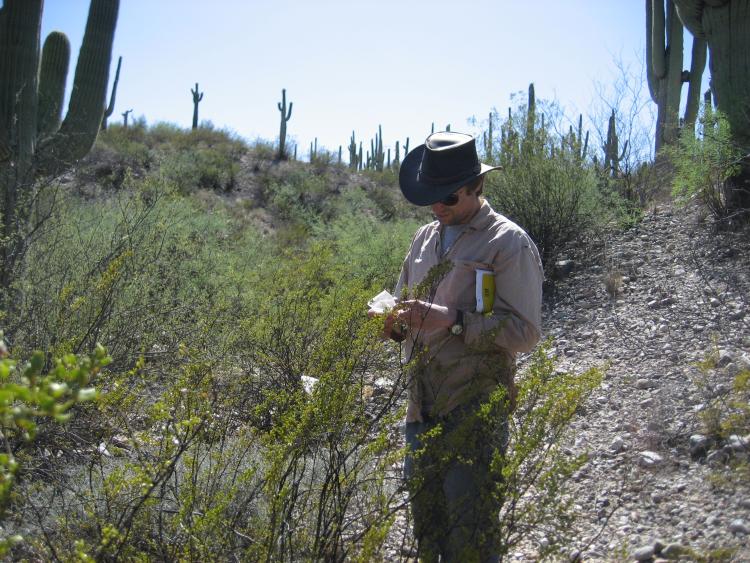 Rob Laport examines a flowering plant